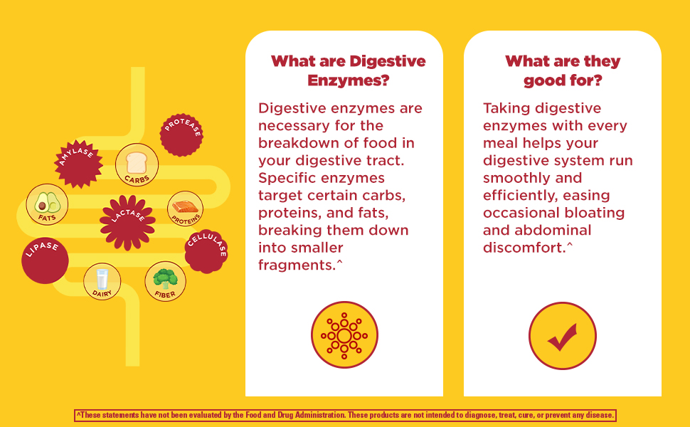 Nature Made Digestive Enzymes 5-in-1 Blend, 90 Chewable Tablets