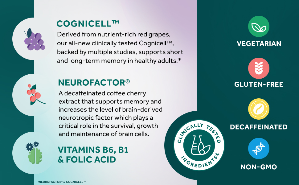 NEURIVA Memory 3D Brain Supplements for Memory and Focus, Vitamin B12 & B6, Folic Acid, 50 Count Capsules