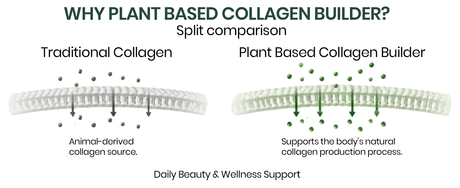 Vlado’s Himalayan Organics Plant Based Organic Collagen Builder Supplement With 8 B Vitamins for Hair and Skin | Collagen Supplement for Women & Men | Collagen Capsules With Biotin & Vitamin C | Glowing and Youthful Skin (90 Capsules)