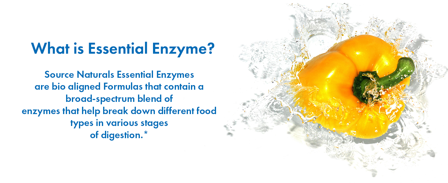 Source Naturals Essential Enzymes Digestive Aid* - 500mg - 240 Capsules