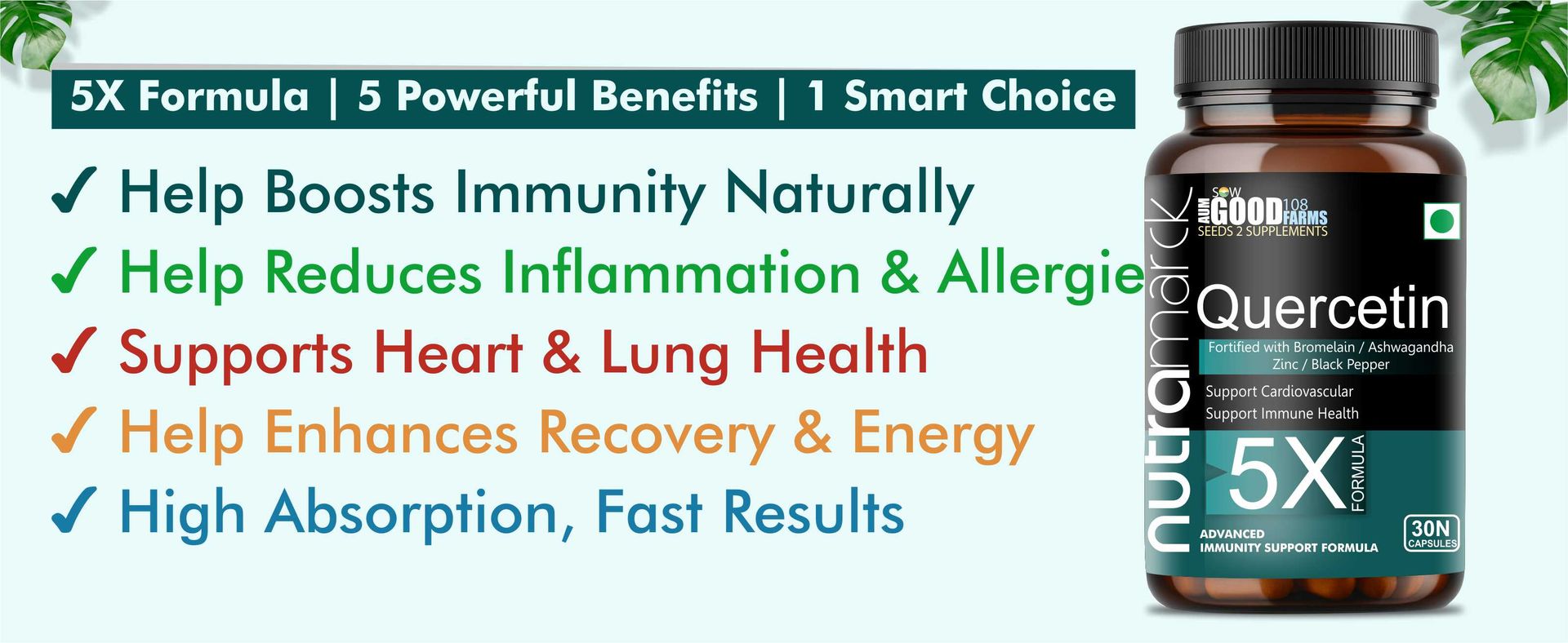 Quercetin With Bromelain Capsules | Natural Flavonoid | For Immune & Respiratory Health Support | For Men & Women | Non-GMO, No Added Sugar & Gluten Free - 30 Capsules