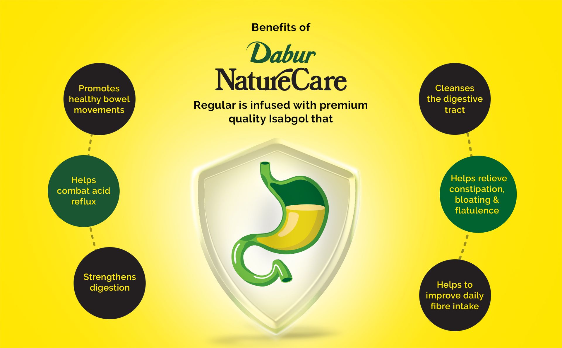 Dabur Nature Care Isabgol| Provides Effective Relief from Constipation -375gm