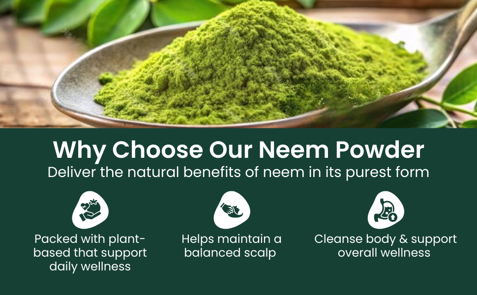 Neem Leaf Powder | 100% Pure & Natural Neem Powder | Dried & Ground Azadirachta Indica Leaves | Ayurvedic Herbal Powder | 100 g Jar