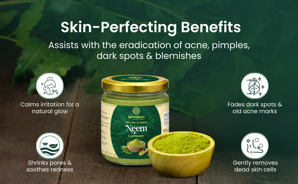 Neem Leaf Powder | 100% Pure & Natural Neem Powder | Dried & Ground Azadirachta Indica Leaves | Ayurvedic Herbal Powder | 100 g Jar