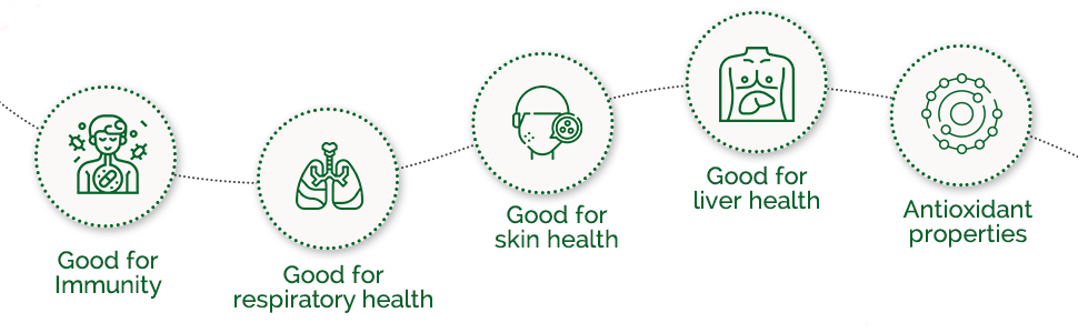 Dabur Giloy Neem Tulsi Juice: Benefit of 3-in-1 Immunity Boosters with the power of Giloy, Neem and Tulsi|Pure, Natural and 100% Ayurvedic Juice -1L