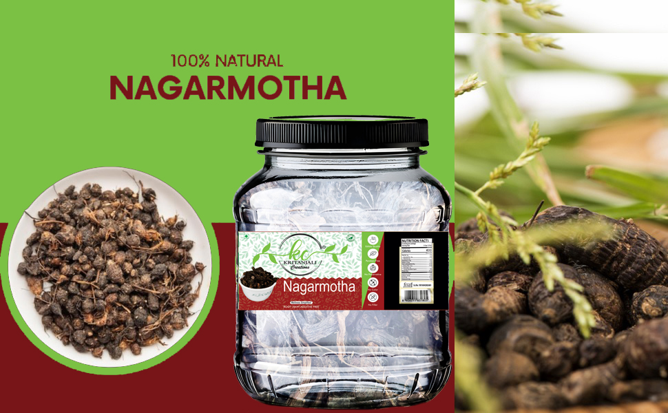 Nagarmotha Root (Raw) | Nagarmotha | Cyperus Rotundus Rhizome | Cyperus Rotundus Rhizome - Nut Sedge Root - Pure & Natural (150gm)