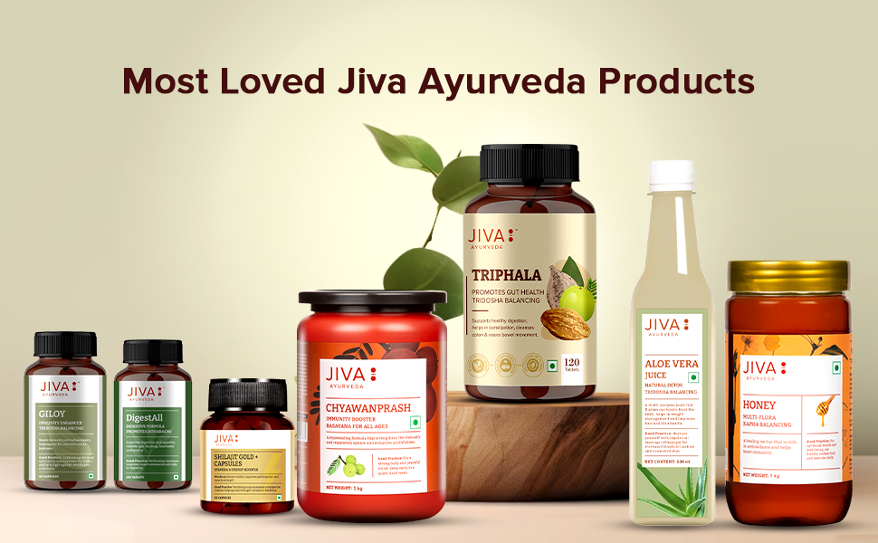 Jiva Triphala Tablet (120 Tablets) |Supports Gut Health & Immune System | Ayurvedic Triphala Churna Tablets Improves Digestion | Helps in Detox | Constipation Colon & For Eye & Hair | pack of 1