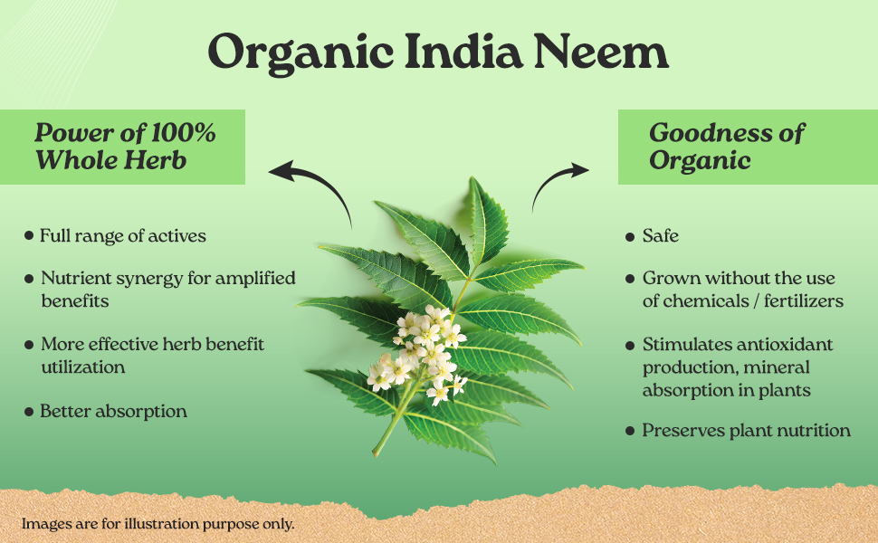 A TATA Product - Organic India Neem Blood Purifier - 60 Veg Capsules, Natural Blood Purifier, Plant-Based Anti-Bacterial, Anti-Viral, With Immunity Boosting Properties, GMP & NPOP Certified Organic