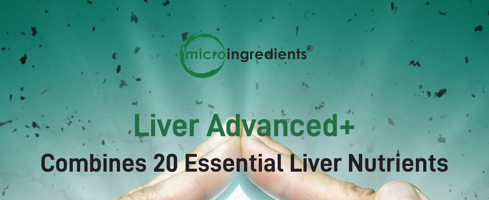Liver Advanced+, 240 Veggie Capsules | 20-in-1 Complex with Milk Thistle, Dandelion, NAD, NAC, ALA, TUDCA, Glutathione, Artichoke, Turmeric, & Astragalus | Non-GMO, Gluten Free