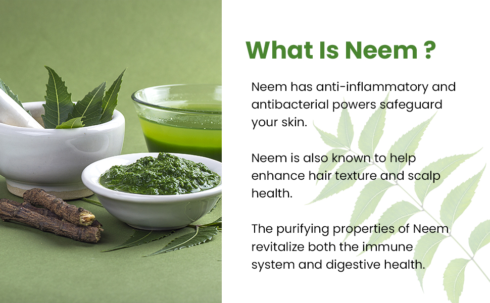 Baidyanath Ayurved Neem 60 Tablets | Herb For healthy Skin & Hair, Natural Extracts Of Neem | Helps In Purification of Blood Boosting & Liver Health