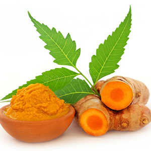 Harc Herbal Canada Haldi (100 Tablets) + Neem (100 Tablets) || Healthy Combo Pack