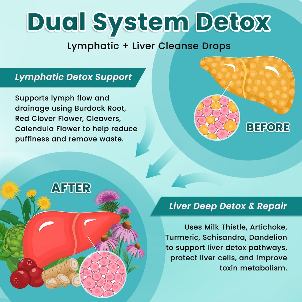 liposomal-lymphatic-drainage-drops-liver-4.jpg