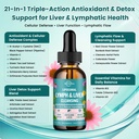 liposomal-lymphatic-drainage-drops-liver-2.jpg