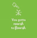 amazing-grass-greens-blend-superfood-cap-6.jpg