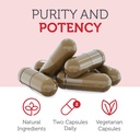 zahler-120-80-cardiovascular-support-for-4.jpg