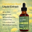 dandelion-root-2-fl-oz-liquid-extract-na-4.jpg