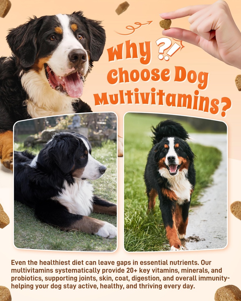 24-in-1-multivitamin-dog-supplement-300--5.jpg