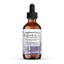 earthley-wellness-elderberry-elixir-drop-2.jpg