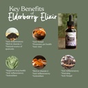 earthley-wellness-elderberry-elixir-drop-3.jpg
