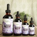 earthley-wellness-elderberry-elixir-drop-5.jpg