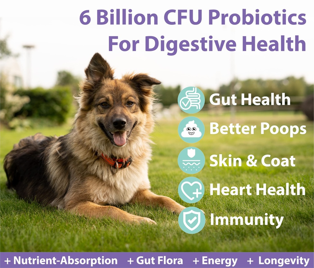 googipet-2-pack-bundle-3-in-1-probiotics-3.jpg