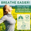 nifeishi-mullein-gummies-for-lungs-2000m-3.jpg