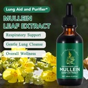 qjcwxiaox-2-pack-mullein-drops-for-lungs-2.jpg