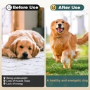 dog-weight-gainer-high-calorie-dog-suppl-6.jpg