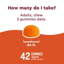 nature-made-wellblends-immunemax-gummies-6.jpg