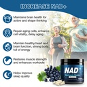 supplement-5.jpg