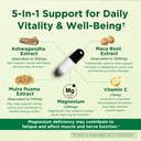 energy-mood-supplement-boost-energy-redu-4.jpg