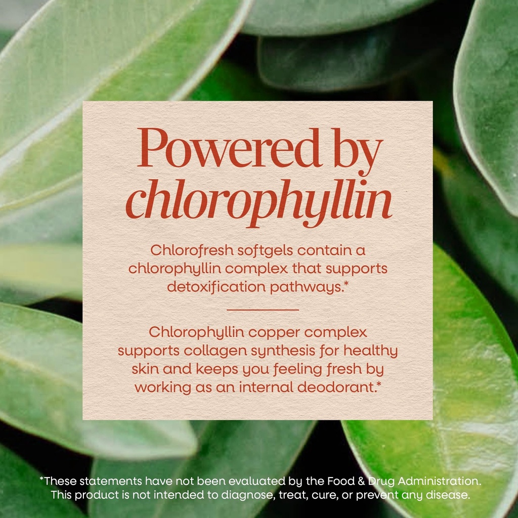 nature-s-way-chlorofresh-chlorophyll-con-4.jpg