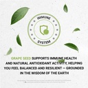 secrets-of-the-tribe-grape-seed-tincture-6.jpg