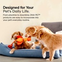 dna-pet-algal-oil-complex-for-dogs-omega-5.jpg
