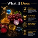 nmn-1000mg-with-resveratrol-tmg-pterosti-3.jpg