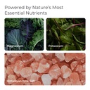 livingood-daily-electrolytes-powder-elec-6.jpg