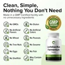 lactobacillus-fermentum-probiotic-240-ta-3.jpg