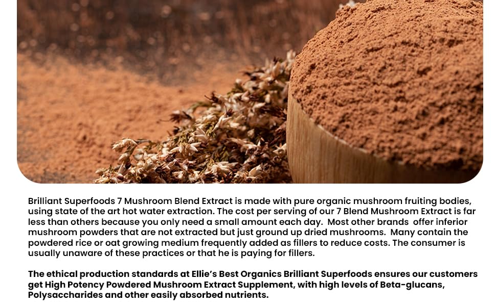 ellie-s-best-7-mushroom-powder-extract-b-3.jpg