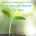 garden-of-life-raw-organic-perfect-food--6.jpg