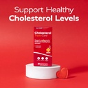 redd-remedies-cholesterol-triple-care-su-3.jpg