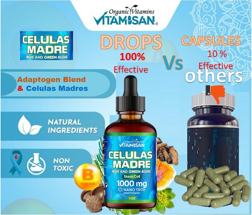 celulas-madres-stem-cell-support-plant-b-2.jpg