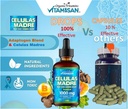 celulas-madres-stem-cell-support-plant-b-2.jpg