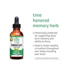 botanic-choice-ginkgo-biloba-leaf-liquid-3.jpg