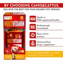 cat-vitamins-for-indoor-cats-with-glucos-6.jpg