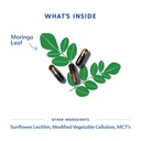 motherlove-moringa-120-capsule-value-siz-3.jpg