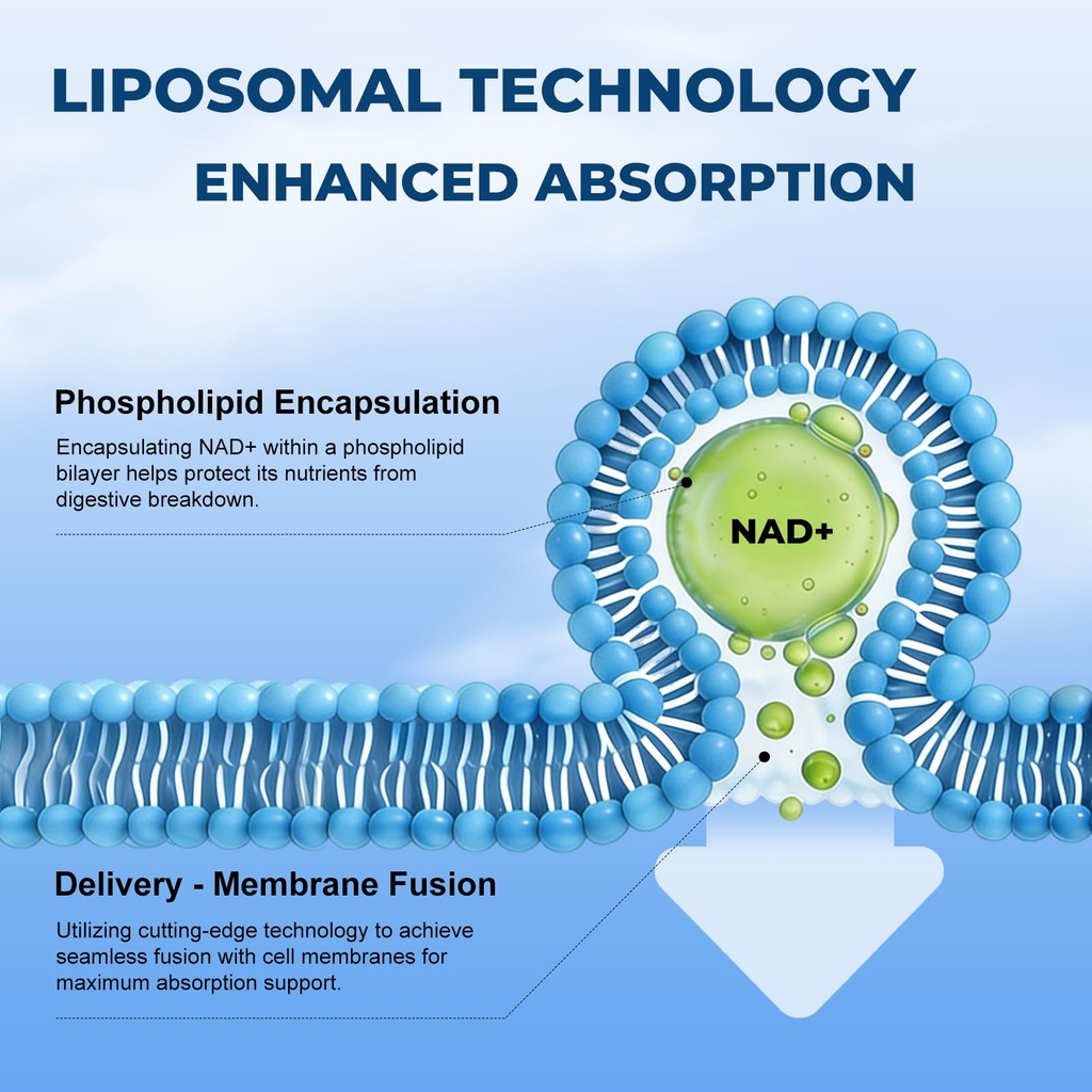 nad-supplement-1500mg-liposomal-nad-nico-5.jpg