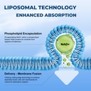 nad-supplement-1500mg-liposomal-nad-nico-5.jpg