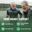airboy-nad-supplement-liposomal-nicotina-6.jpg