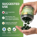 clean-nutra-mullein-gummies-for-lung-hea-6.jpg
