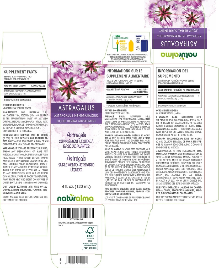 naturalma-astragalus-astragalus-membrana-2.jpg